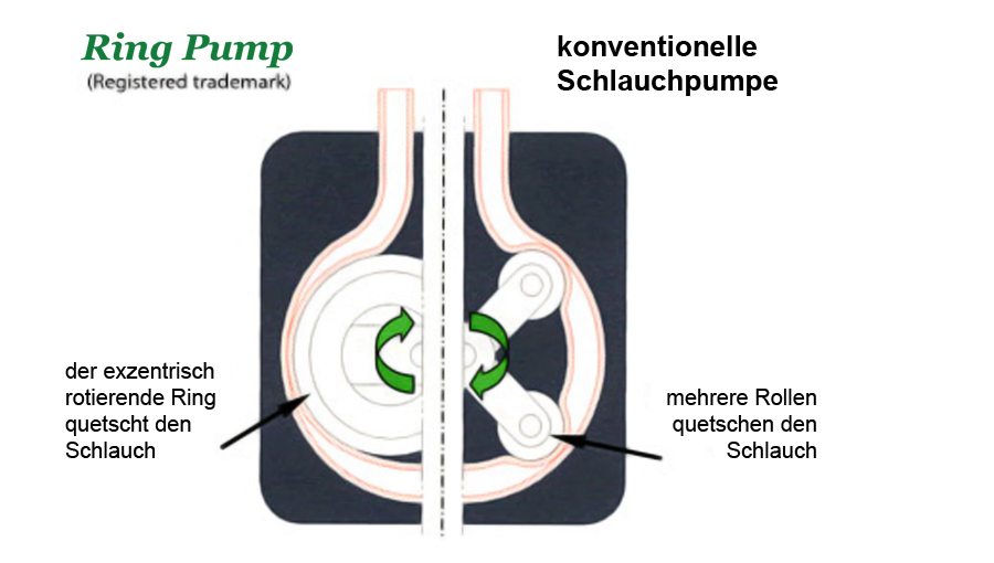 Pump That Rump